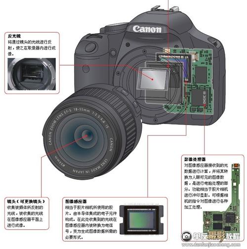 数码相机怎么导出电脑_数码相机怎么导出电脑照片
