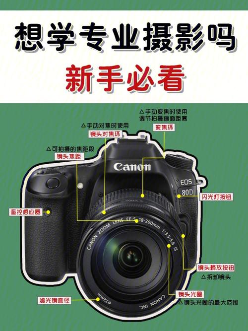 新数码相机怎么安装_新数码相机怎么安装软件